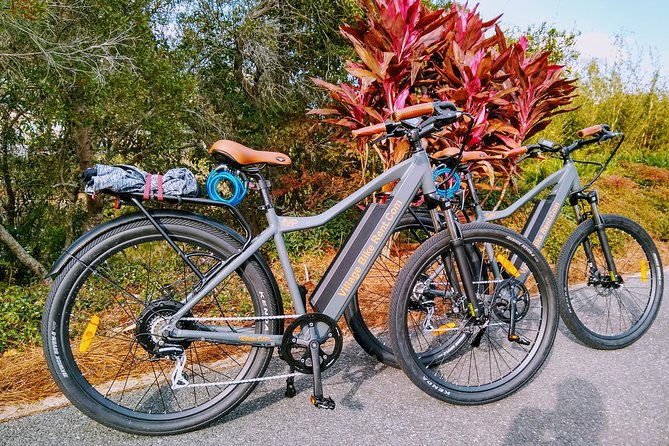 electric-bike-rentals-in-the-villages-florida-with-delivery