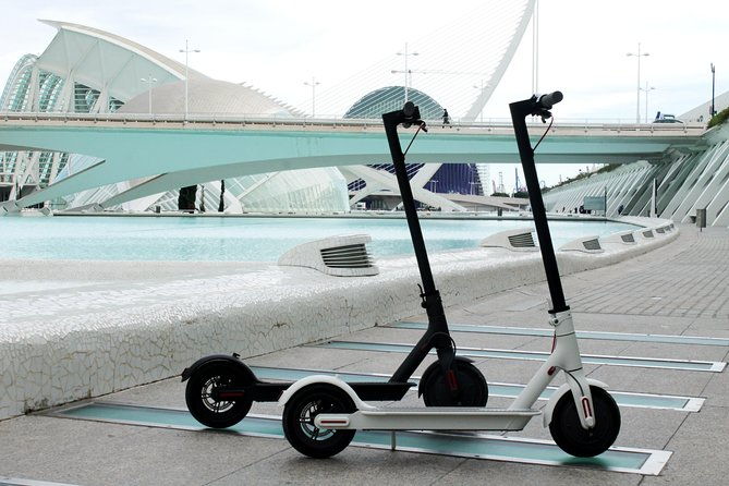 electric-scooter-rental-2