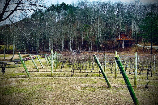 elijay-hike-w-waterfall-wine-tasting-private-tour-from-atl