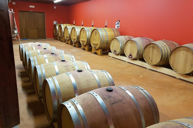 enjoy-a-wine-tasting-after-a-cycling-excursion-in-the-magic-of-tuscany