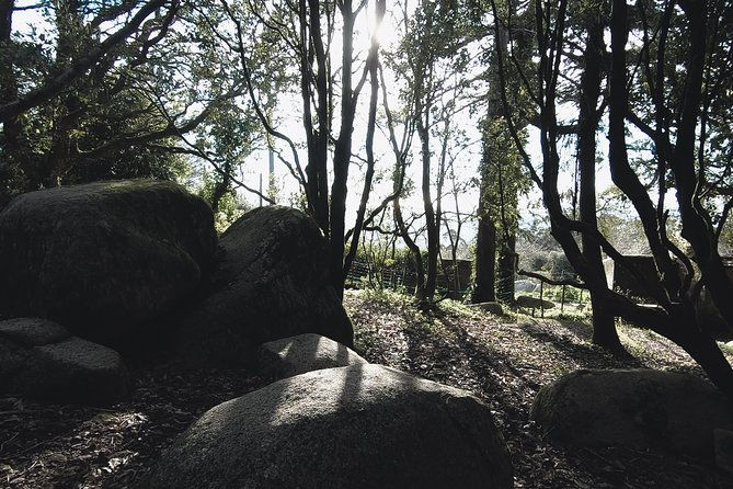epic-off-road-adrenaline-in-sintra-2