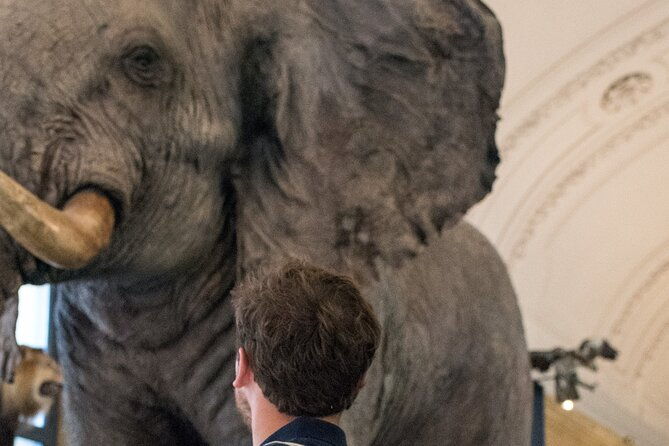 escape-game-at-the-royal-museum-for-central-africa-2