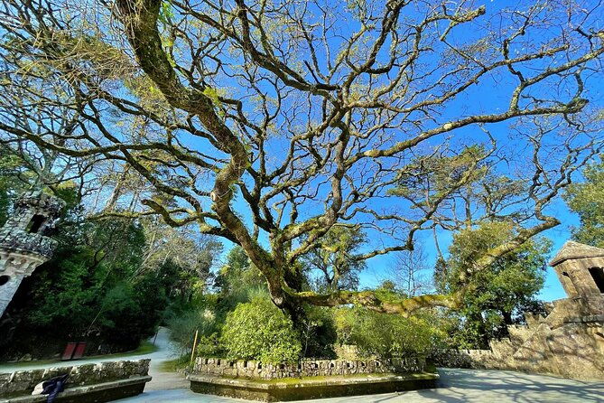 esoteric-journey-through-the-park-and-palace-of-regaleira