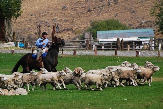 estancia-25-de-mayo-experience-with-dinner-from-calafate