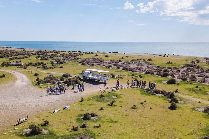 estancia-san-lorenzo-home-of-the-largest-penguin-colony