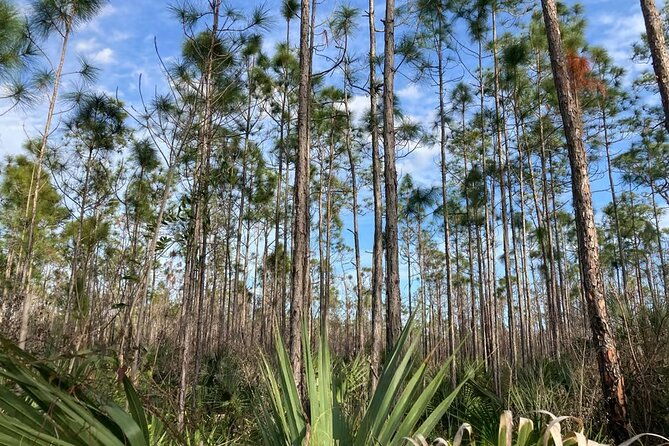 everglades-national-park-3-hikes-90-minute-boat-tour-lunch