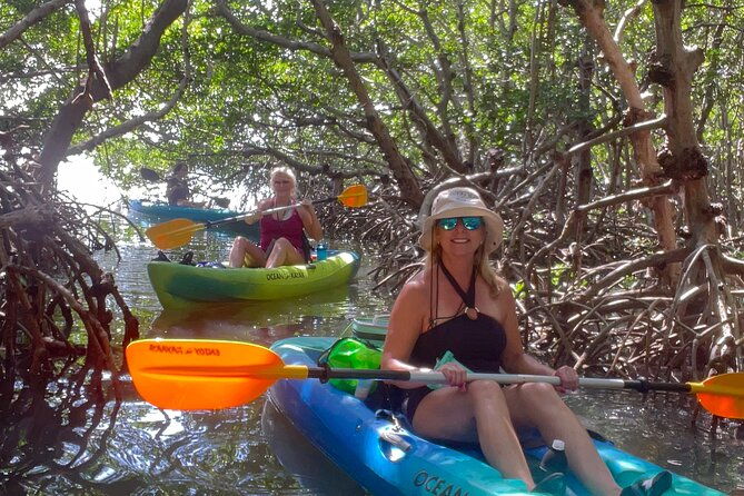 exclusive-kayak-expedition-exploring-the-mangroves-to-shell-key