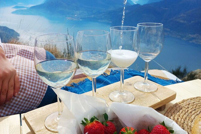 exclusive-picnic-in-the-foothills-of-the-alps-with-the-lake-views
