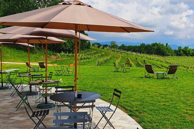 exclusive-tour-of-the-vineyards-with-visit-to-the-cellar-2
