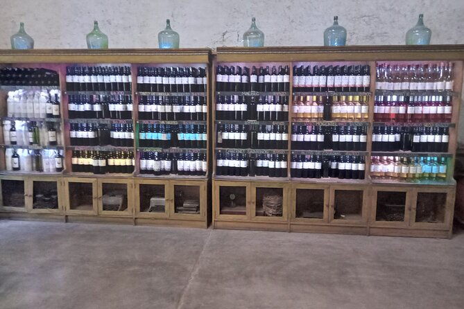 excursion-of-3-wineries-and-1-olive-oil-mill-with-tasting