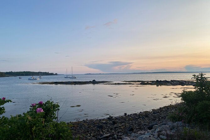 experience-acadia-private-3-hr-tour-with-local-guide