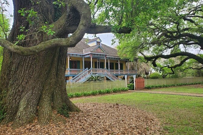 experience-full-day-laura-plantation-pontoon-swamp-tour-w-transportation