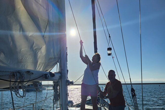 experience-oceanside-sailing-with-whales-and-dolphins