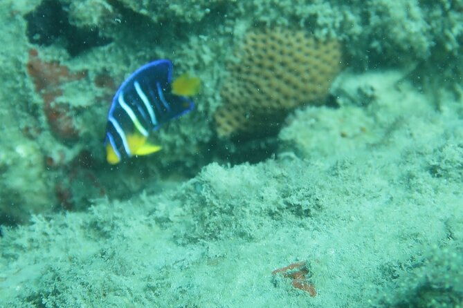 experience-peanut-island-adventures-2