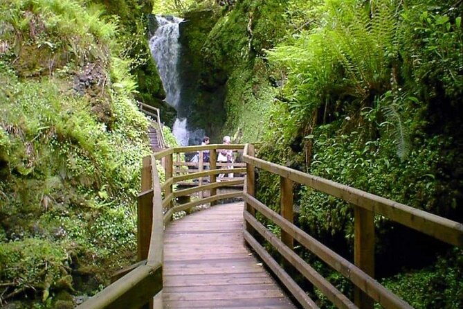 experience-the-antrim-coast-and-the-land-of-giants-private-tour