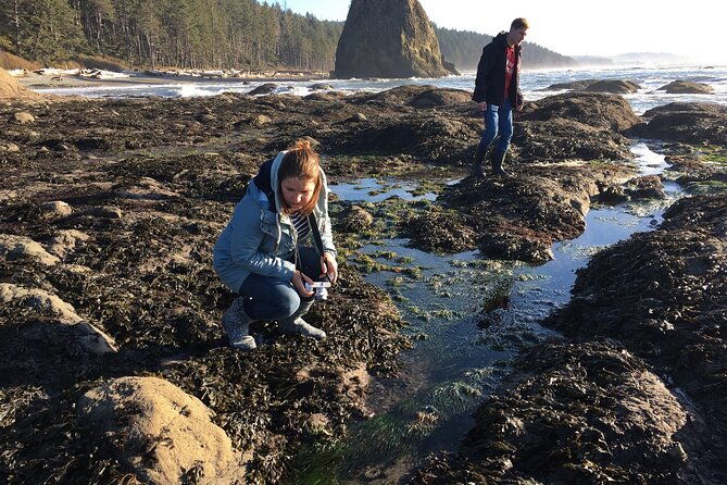experience-the-spectacular-beauty-of-the-olympic-peninsula