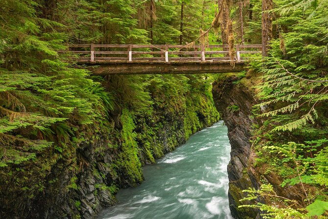 explore-olympic-national-park-from-seattle-through-van-ferry