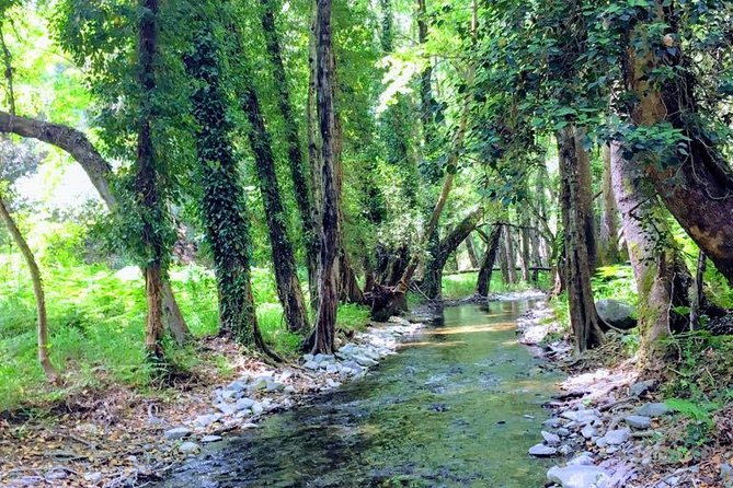 explore-paphos-forest-with-e-mountain-bikes