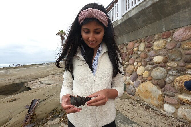 explore-san-diego-tide-pools-with-a-marine-biologist