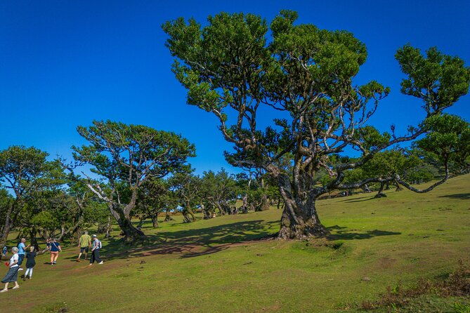 explore-the-west-of-madeira