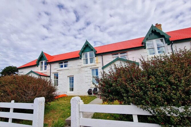 falkland-islands-shared-tour-with-penguins-sightseeing