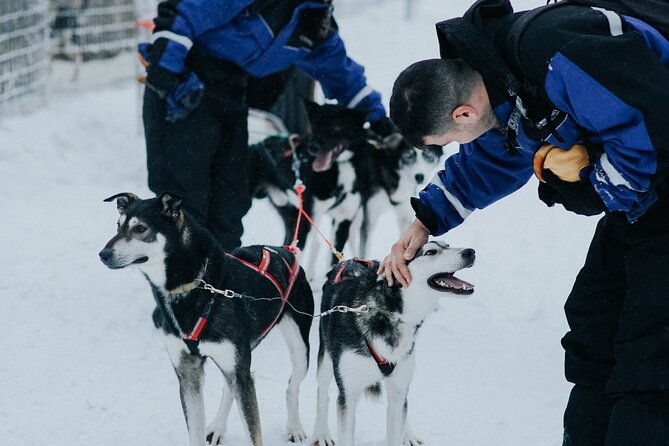 family-day-reindeer-husky-and-snowmobiling-in-levi-3