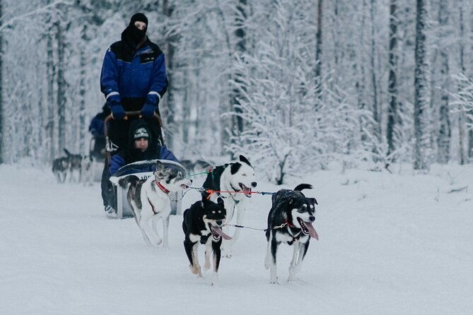 family-day-reindeer-husky-and-snowmobiling-in-levi-4