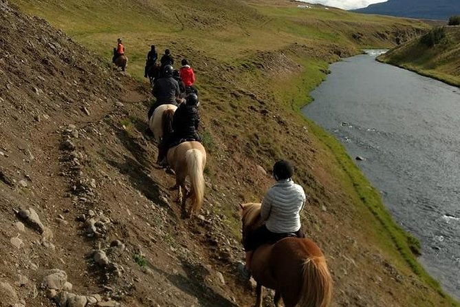 family-friendly-horse-riding-tour-in-skagafjordur