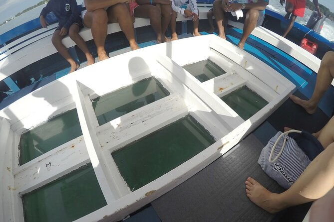 family-fun-speed-tubing-glass-bottom-boat-activity-montego-bay