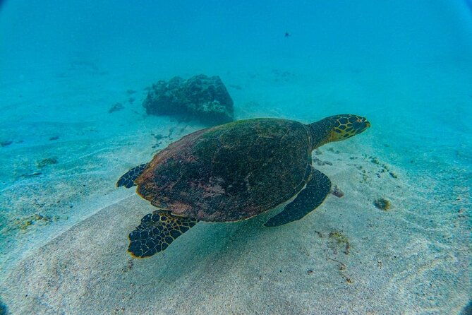family-package-private-fishing-and-snorkeling