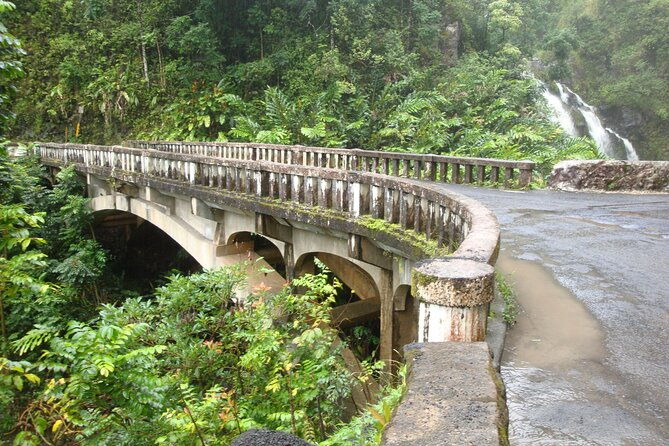 famous-road-to-hana-waterfalls-black-sand-beach-lunch-2