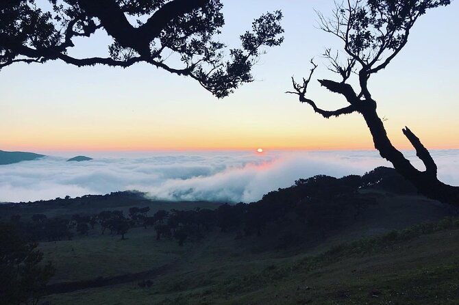 fanal-forest-private-sunset-hike