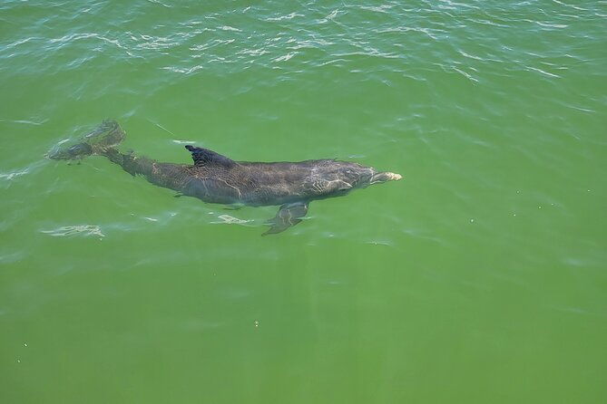 fort-myers-beach-sunset-excursion-2