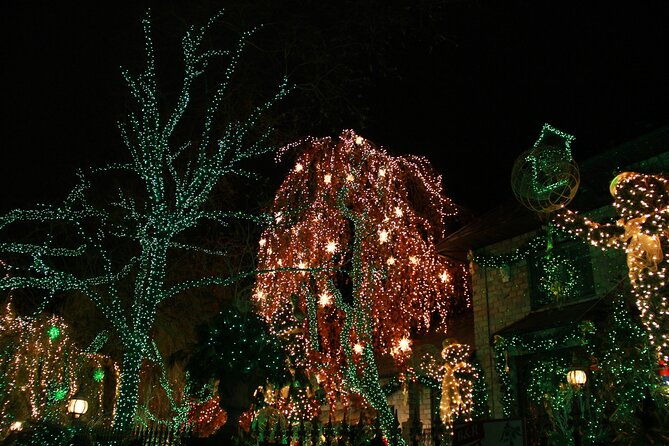 french-christmas-tour-in-brooklyn