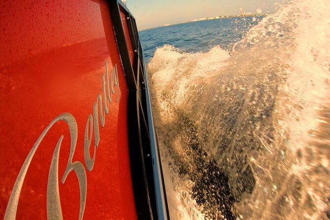 frisky-mermaid-pontoon-boat-rentals-in-pensacola-beach