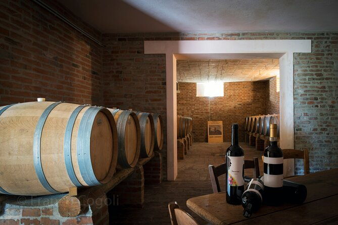 from-bologna-wine-tasting-and-vineyard-tour-with-the-winemaker