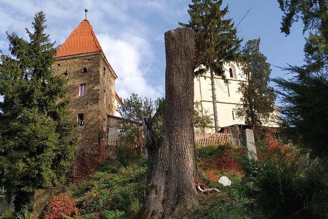 from-brasov-sighisoara-and-sibiu-with-hotel-pick-up-and-drop-off-2