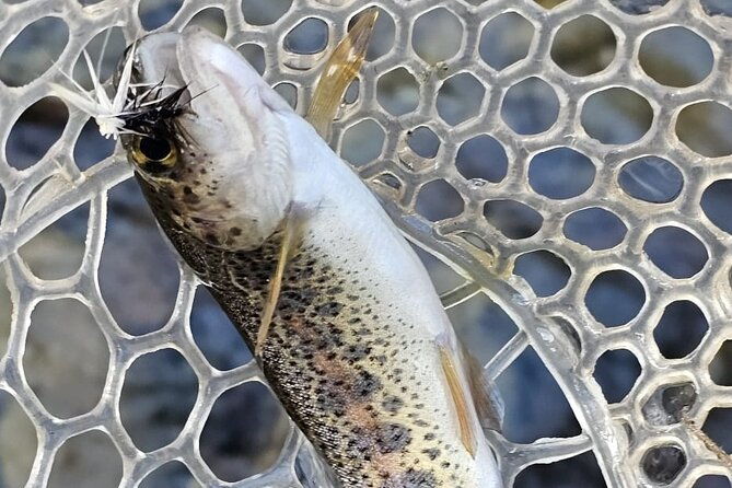 from-catania-syracuse-and-taormina-fly-fishing-experience