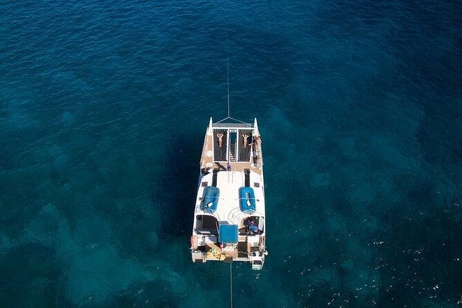 from-maalaea-harbor-sunset-whale-watch-tour-aboard-the-malolo