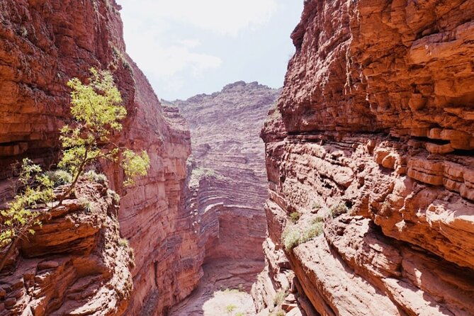from-salta-full-day-tour-to-cafayate-land-of-wines