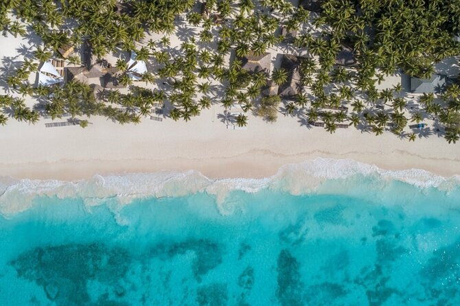 from-santo-domingo-saona-island-food-and-drink-catamaran-vip