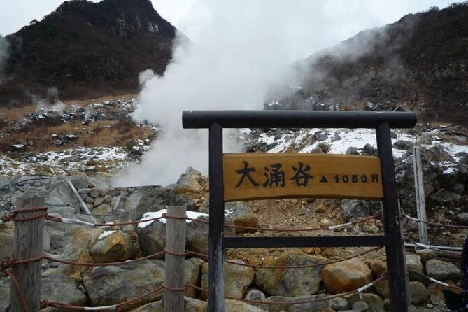 fuji-day-trip-to-hakone-pirate-boat-ropeway-gotemba-outlets