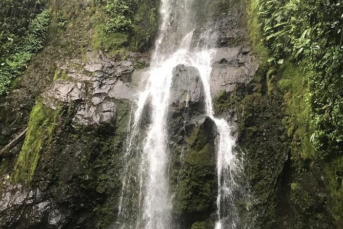 full-day-arenal-inspirations-combo-waterfall-bridges-volcano