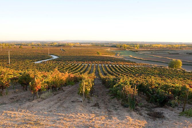 full-day-at-the-winery-visit-tasting-aperitif-and-lunch