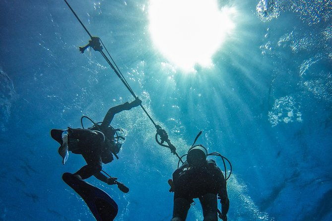 full-day-catalina-island-scuba-diving-tour-from-la-romana