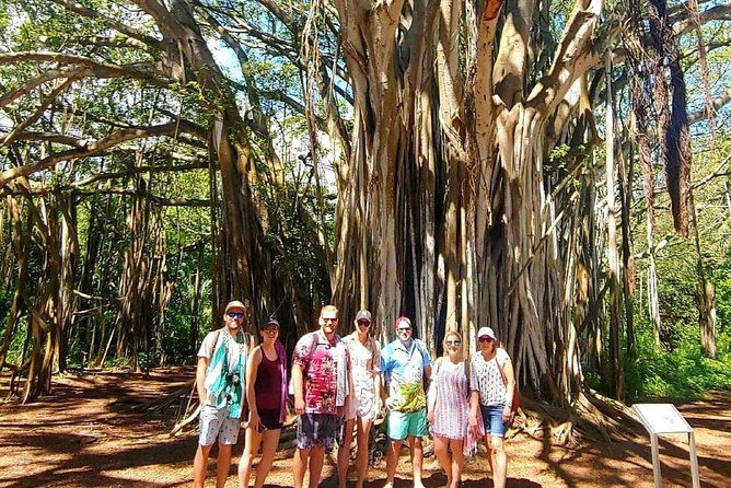full-day-customized-north-shore-private-tour