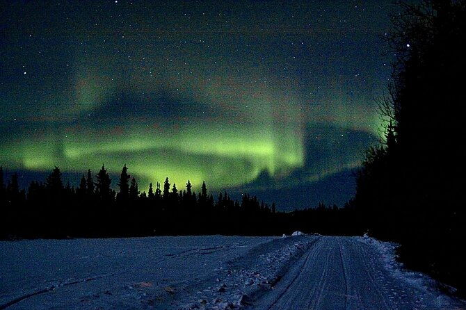 full-day-fairbanks-to-denali-winter-adventure-tour