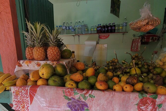 full-day-guided-tour-to-dunns-river-falls-shopping-with-lunch