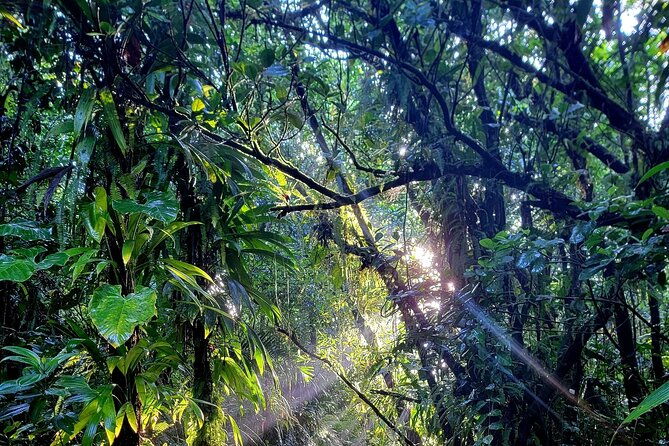 full-day-hike-tour-from-dominica