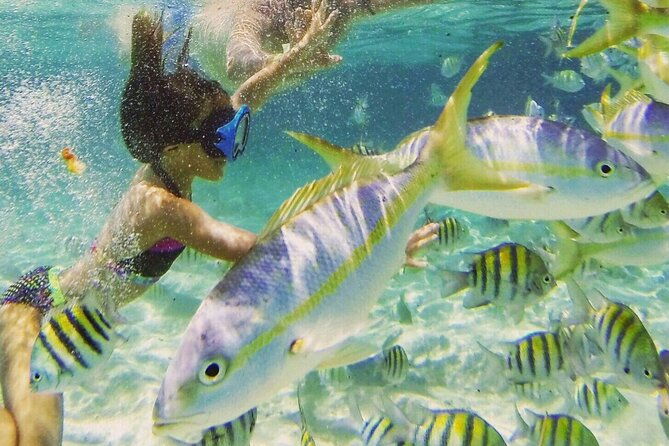 full-day-isla-bonita-speed-tours